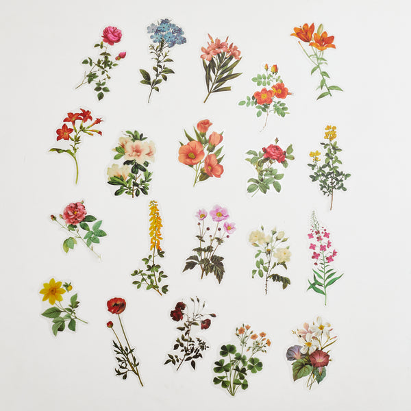 Plants & Flowers Sticker - Wild Plants Vol.2 PET Sticker